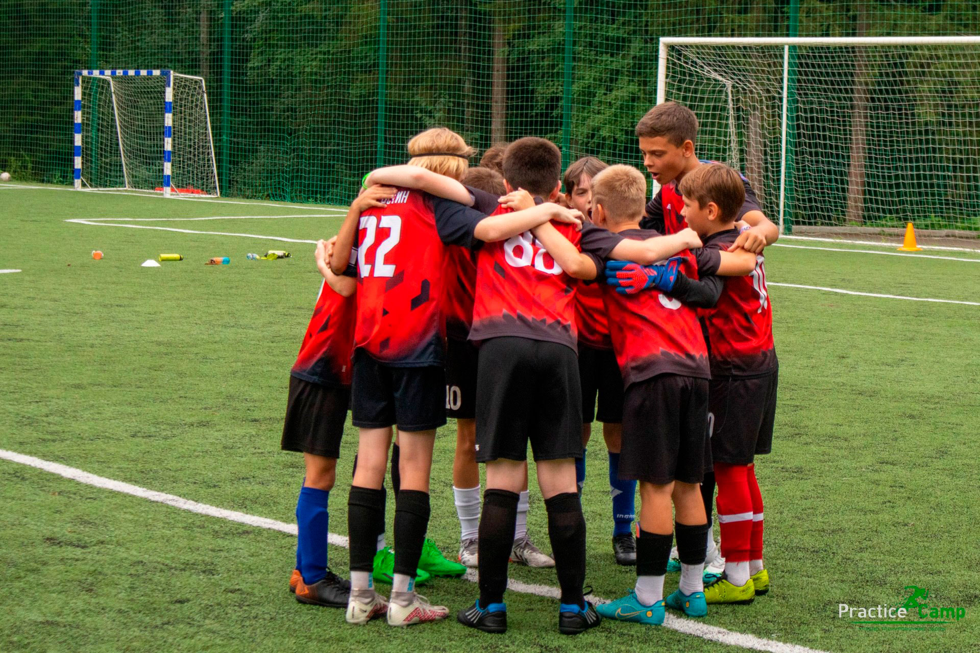 Картина галереи ФК Рекорд